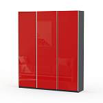 Шкаф-купе Редл BMS - Фото 1