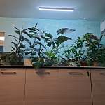 Комод Миф BMS - Фото от клиента