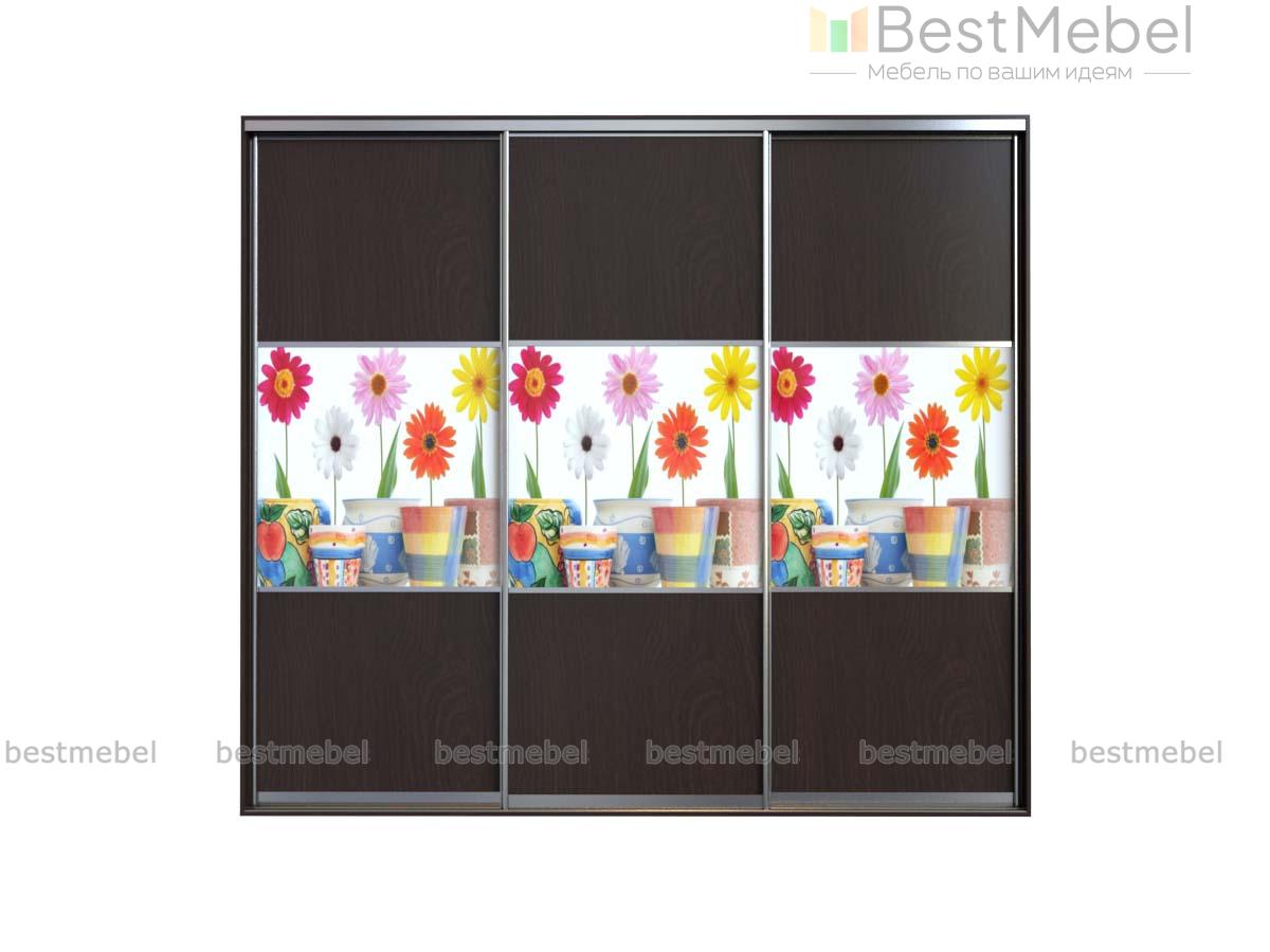 Шкаф-купе Флер BMS - Фото