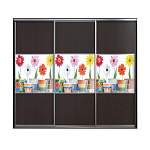 Шкаф-купе Флер BMS - Фото 3