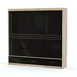 Шкаф-купе Amsterdam 250 BMS - Фото 1